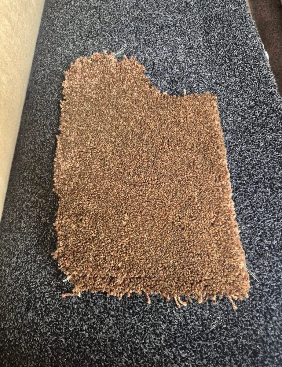 Carpet available for supply and fit - Image 4