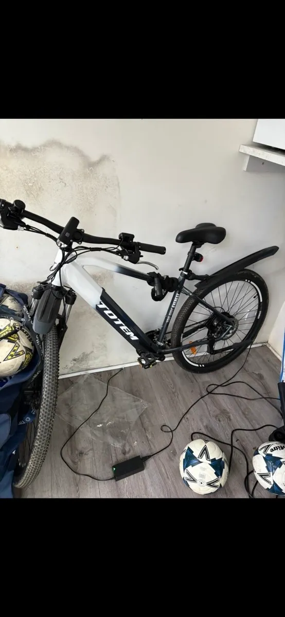Electric Bike - Image 1