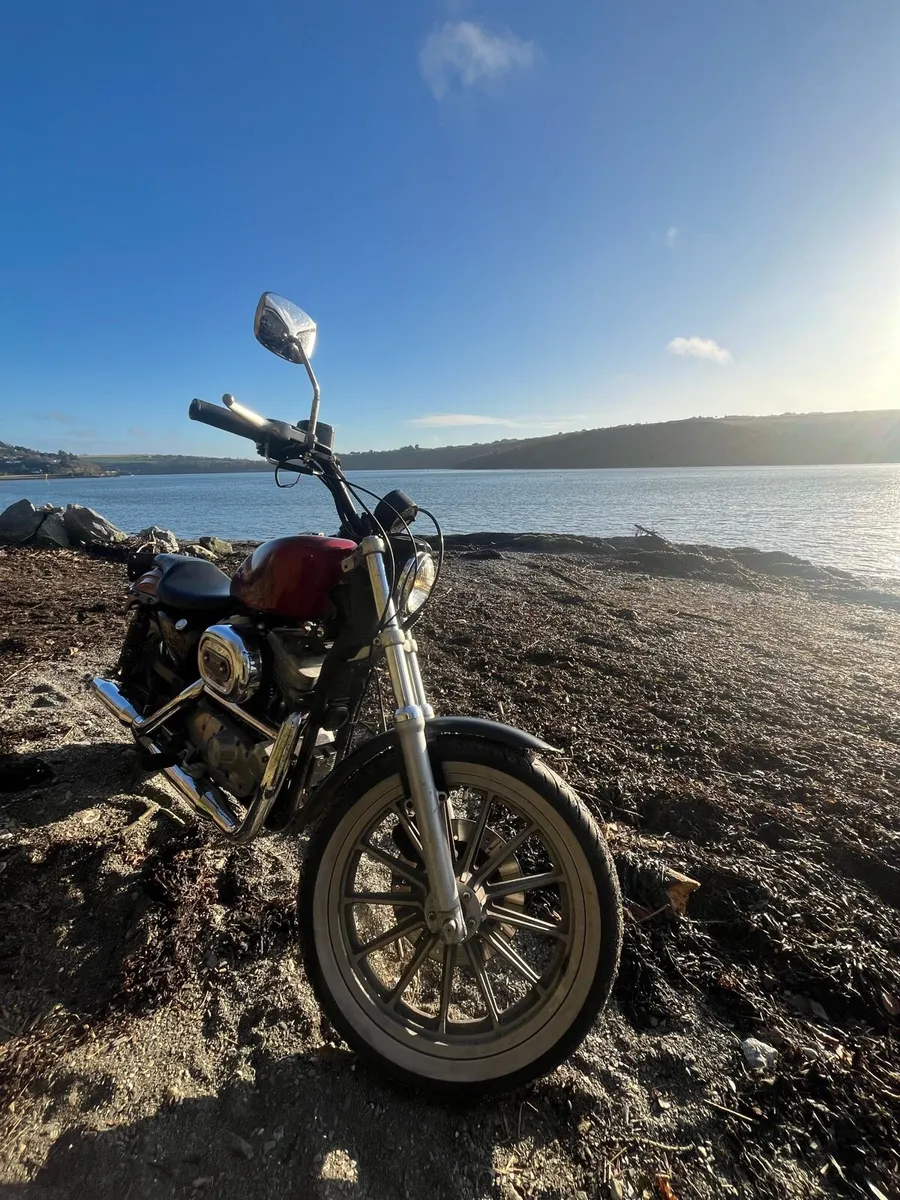 1999 Harley Davidson Sportster 883 - Image 1