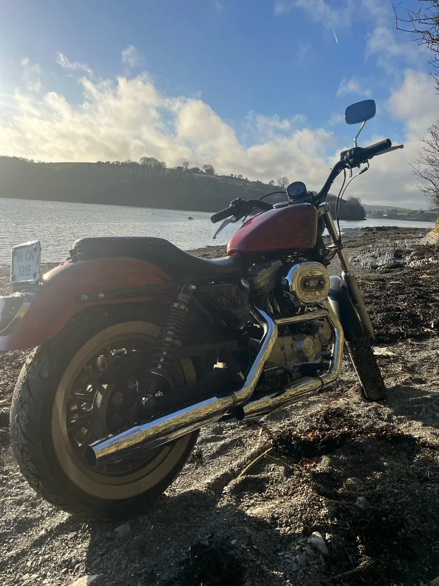 1999 Harley Davidson Sportster 883 - Image 3
