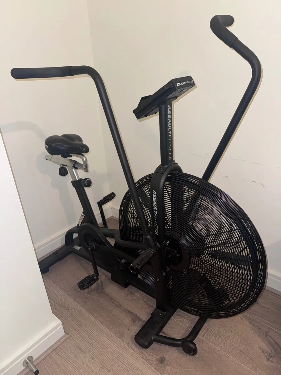 Assault Air Bike - Image 1