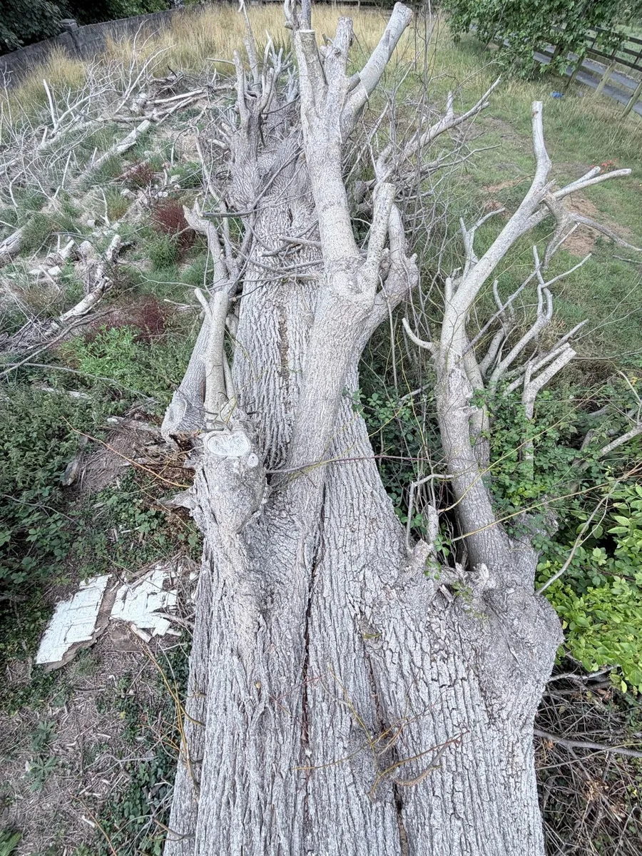 Hardwood Firewood