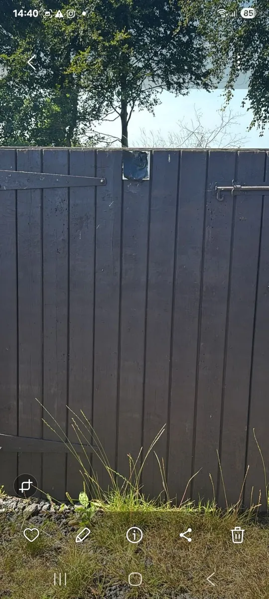 Hardwood doors - Image 3