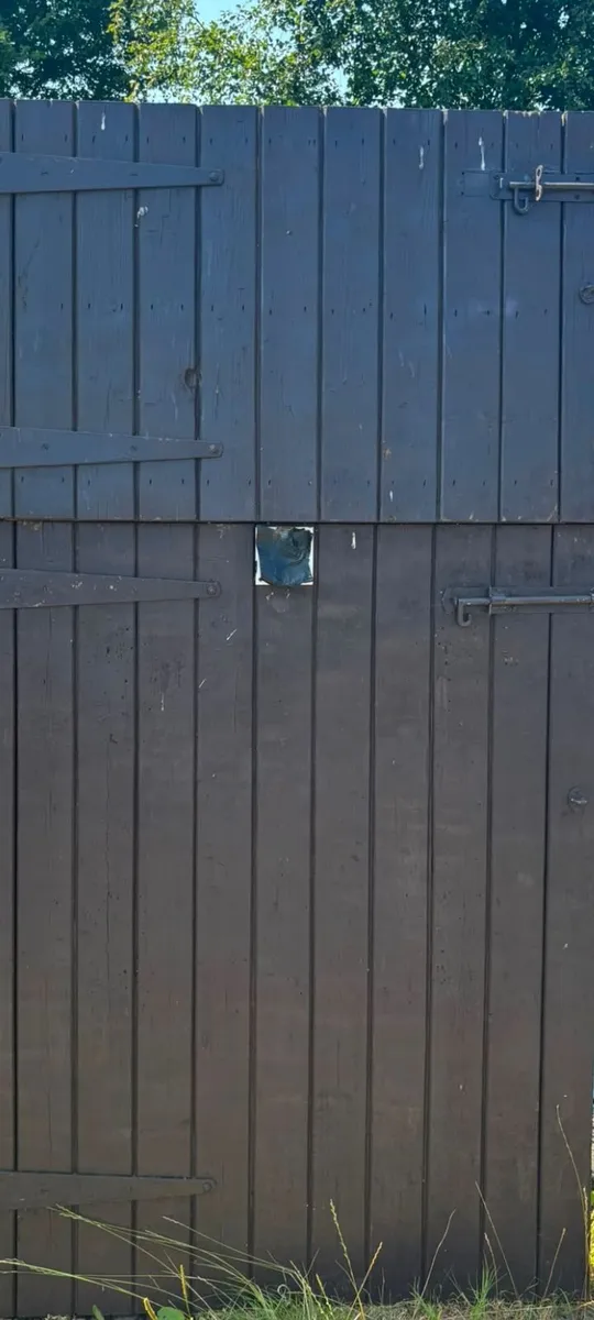 Hardwood doors - Image 4