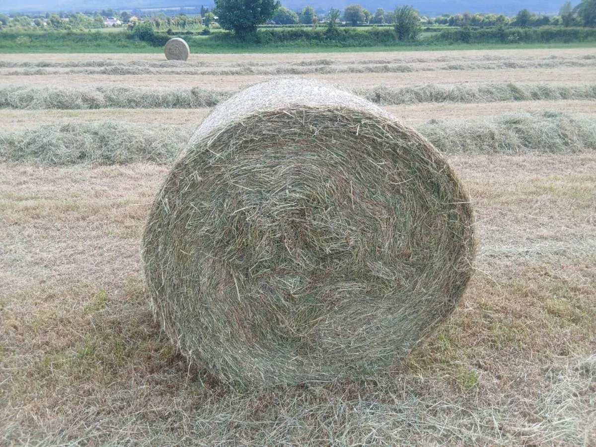 2025 HAY FOR SALE - Image 2