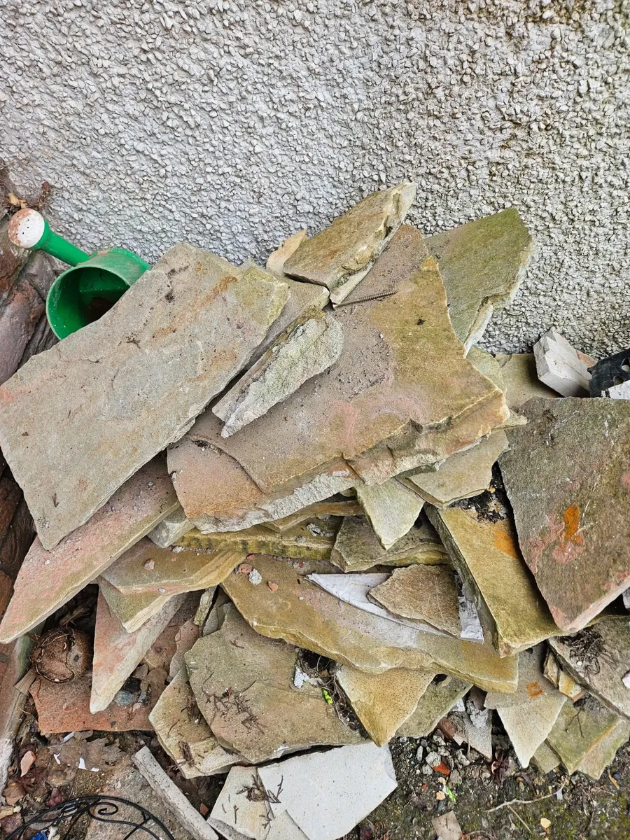Paving stone - Image 1