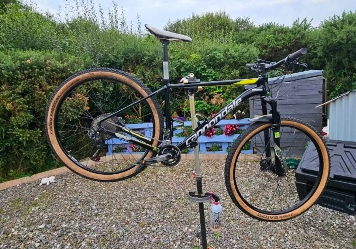 bike - Image 1