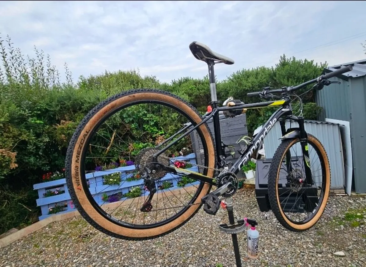 bike - Image 2