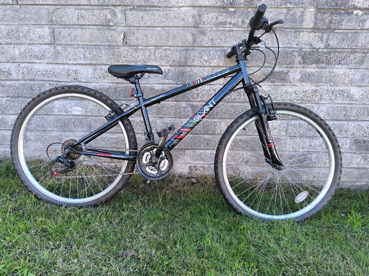 Bicycles and Bike Rack - Image 1