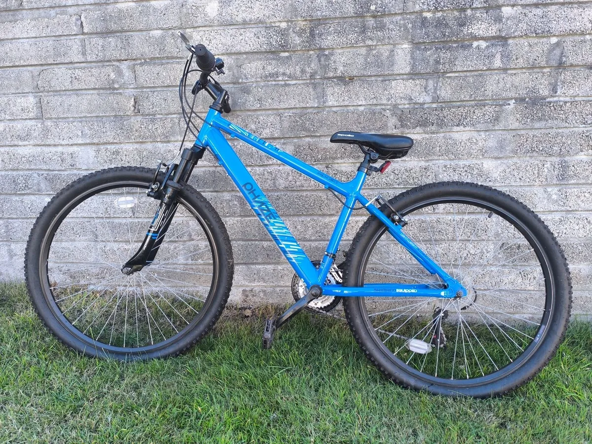 Bicycles and Bike Rack - Image 2