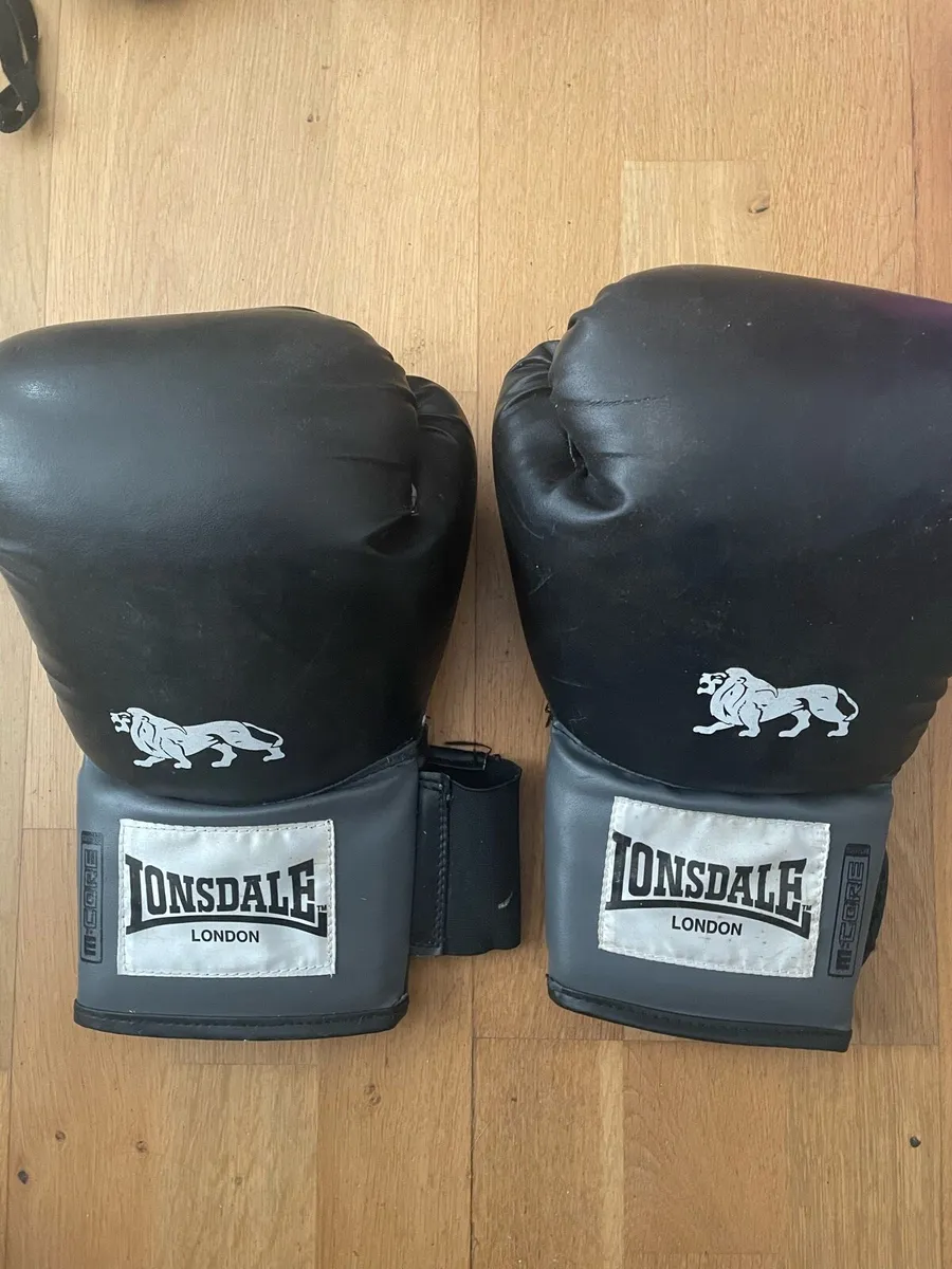 Boxing Gear, Gloves, Speed Bag and Equipment - Image 4