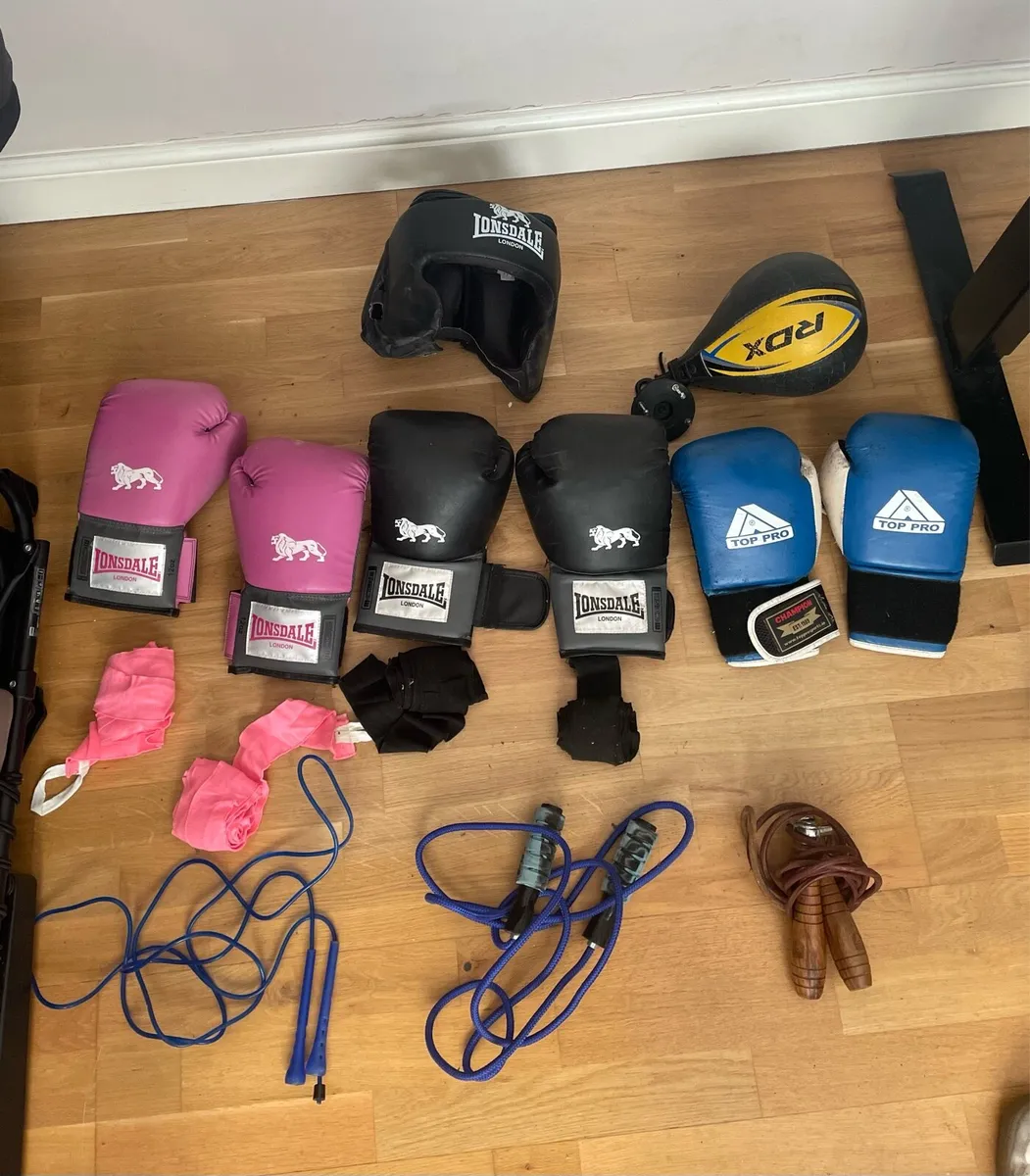 Boxing Gear, Gloves, Speed Bag and Equipment - Image 1