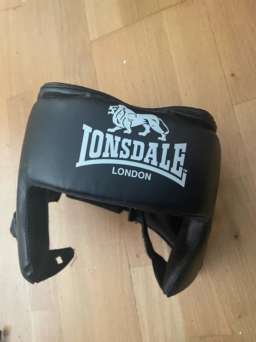 Boxing Gear, Gloves, Speed Bag and Equipment - Image 2