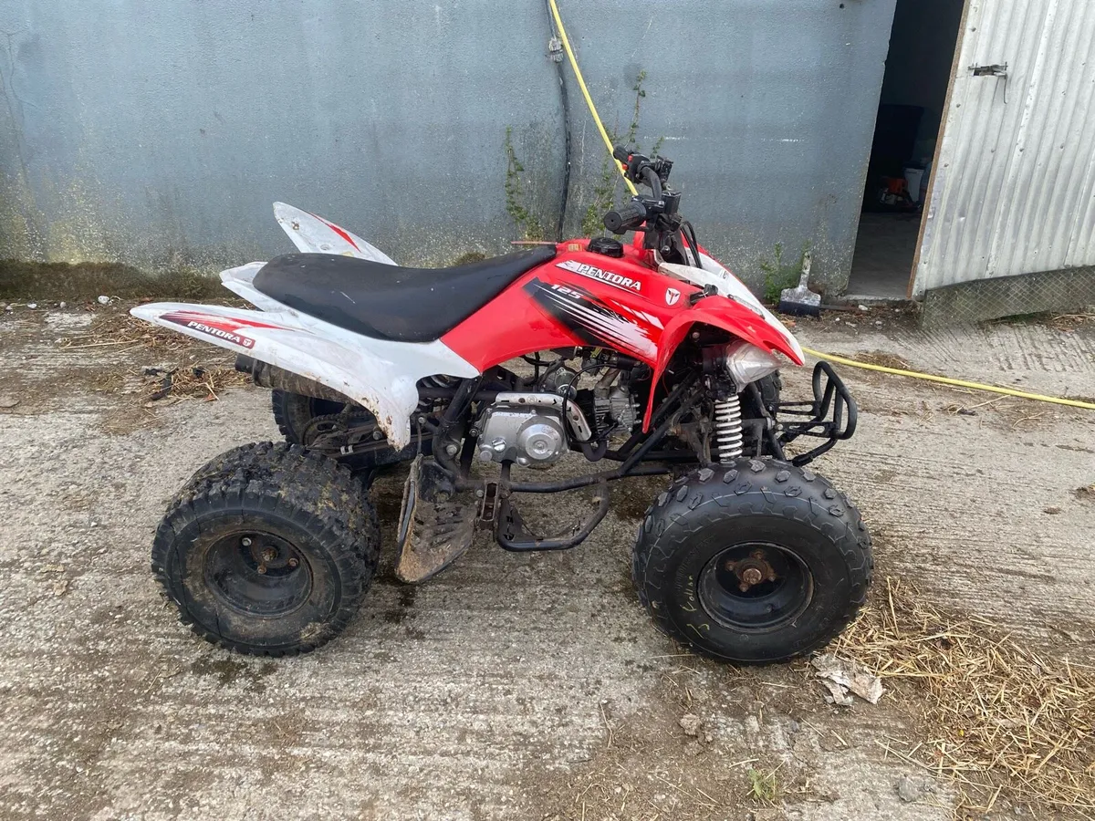 125cc Quad - Image 3