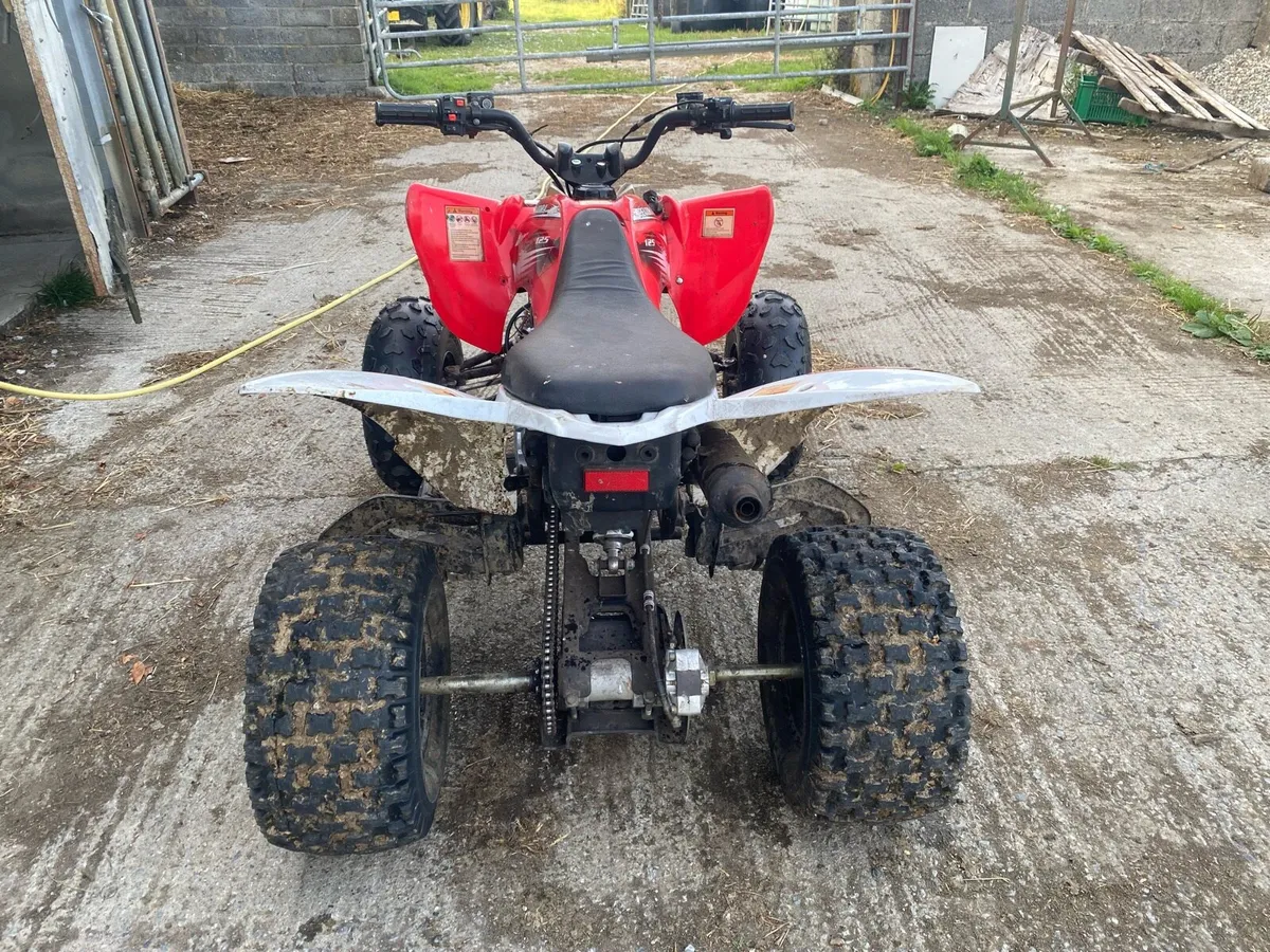 125cc Quad - Image 2