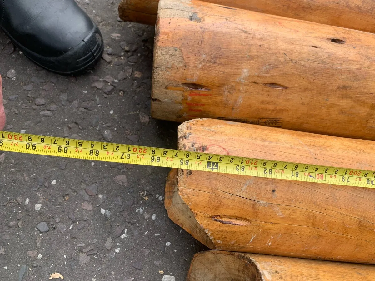 Cedar wood logs - Image 4
