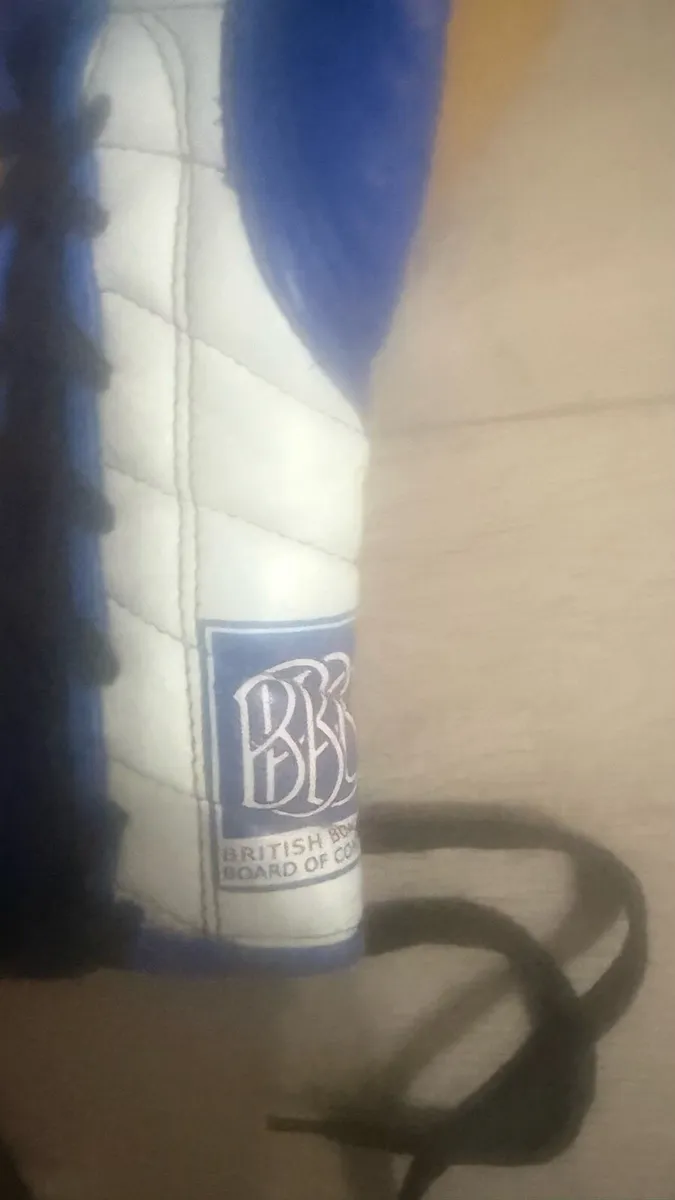 Boxing gloves - Image 3