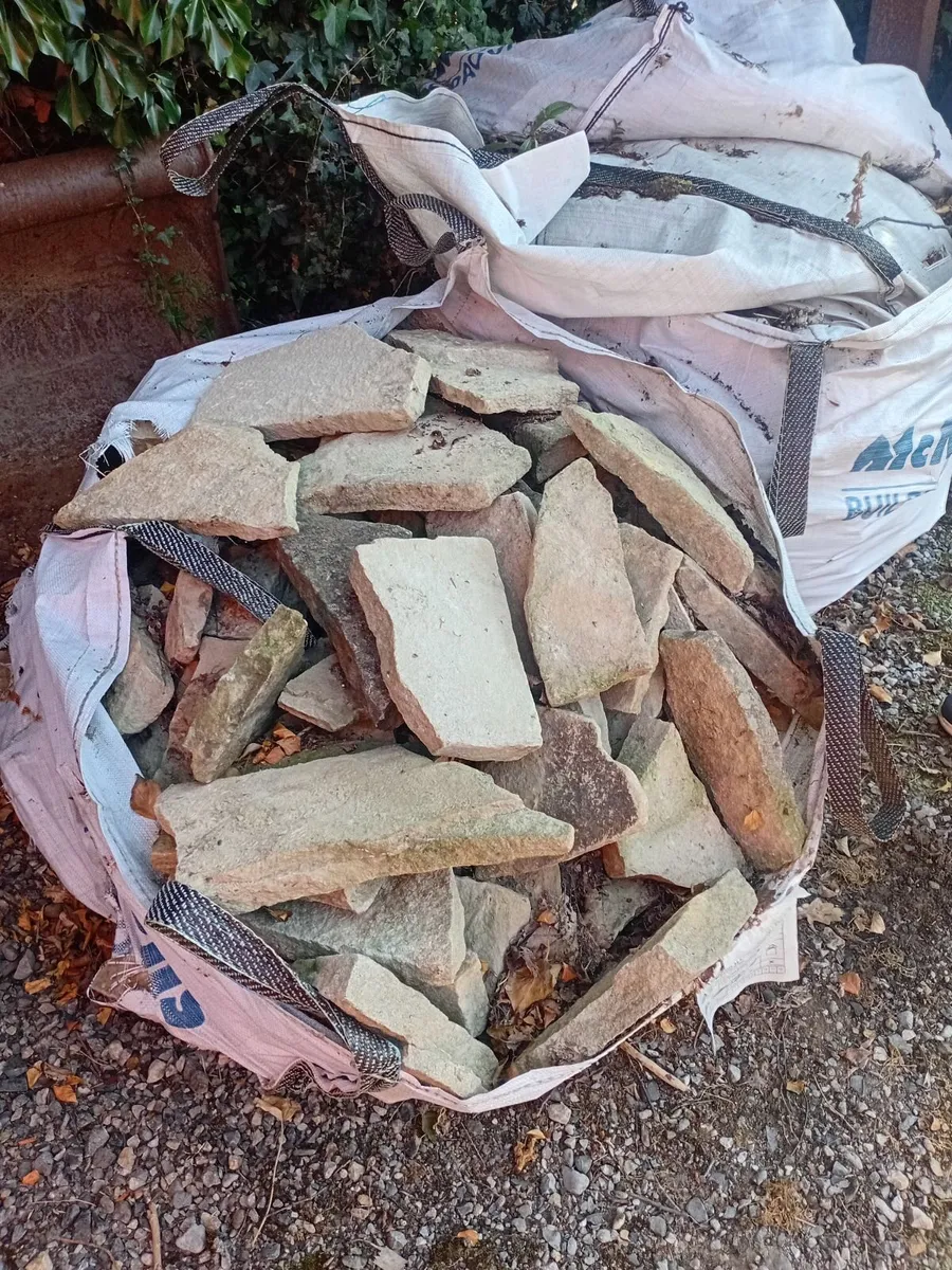 Clonaslee stone - Image 3