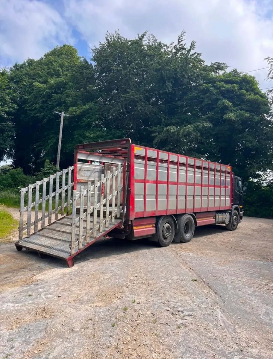 Scania P280 - Image 3