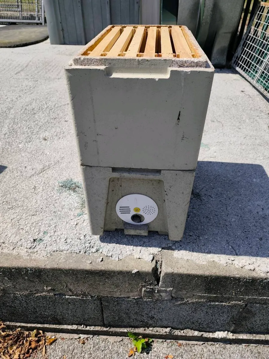 Beekeeping: Maisemore Nuc Box - Image 4