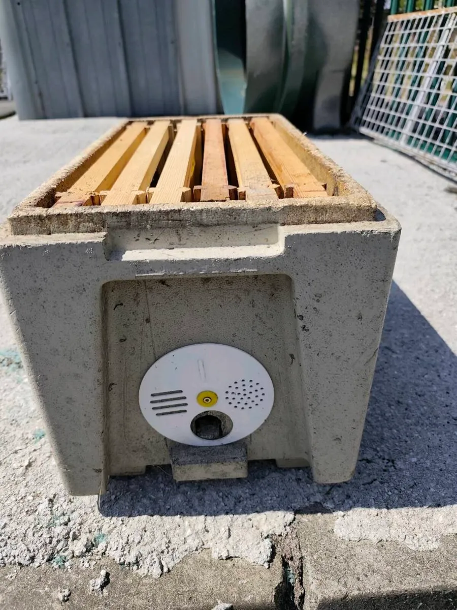 Beekeeping: Maisemore Nuc Box - Image 2