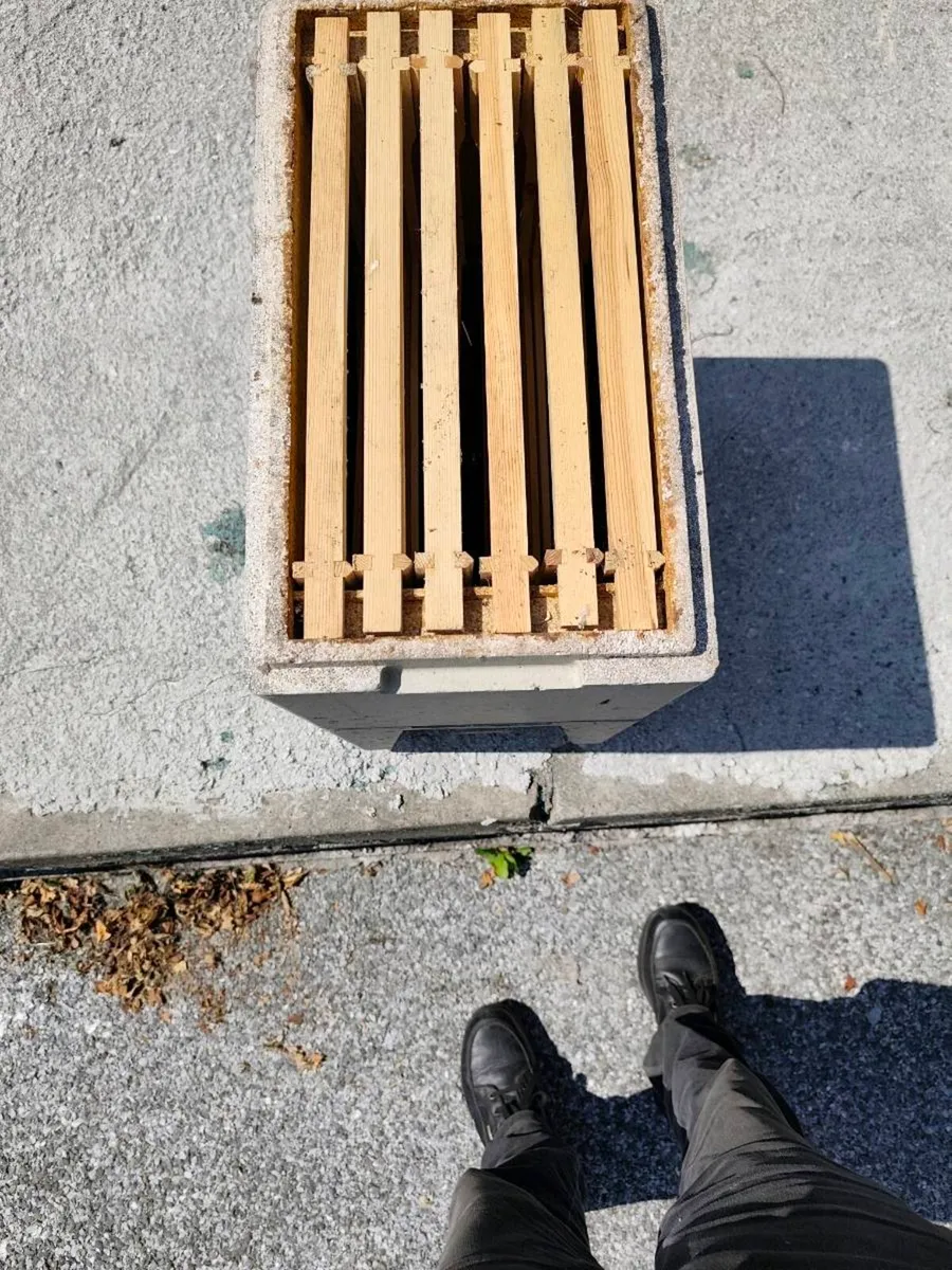 Beekeeping: Maisemore Nuc Box - Image 3