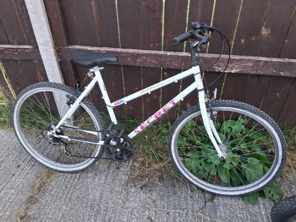 Heavy duty go kart and bike for sale - Image 3
