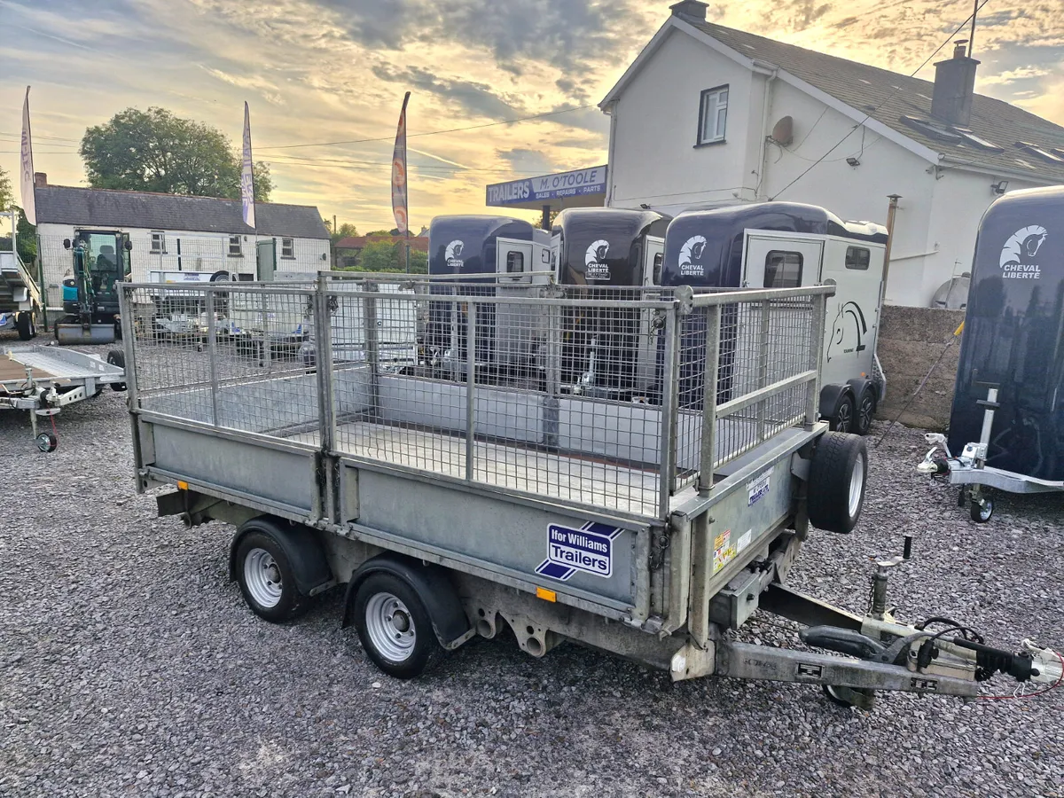 IFOR WILLIAMS  12' x 6'6"  TIPPING TRAILER - Image 2