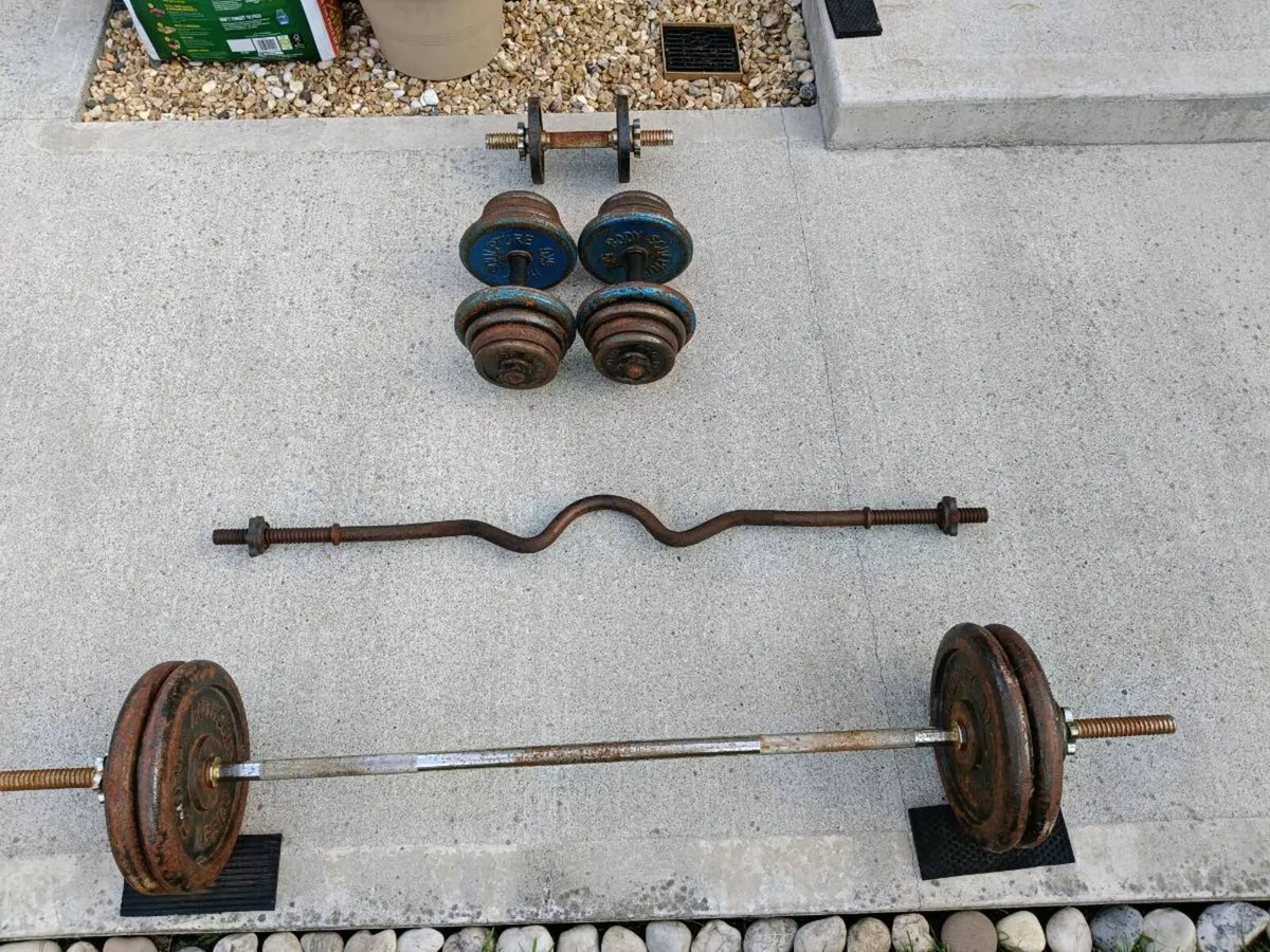 Dumbbells and barbells - Image 1