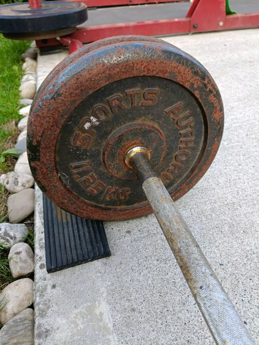 Dumbbells and barbells - Image 3