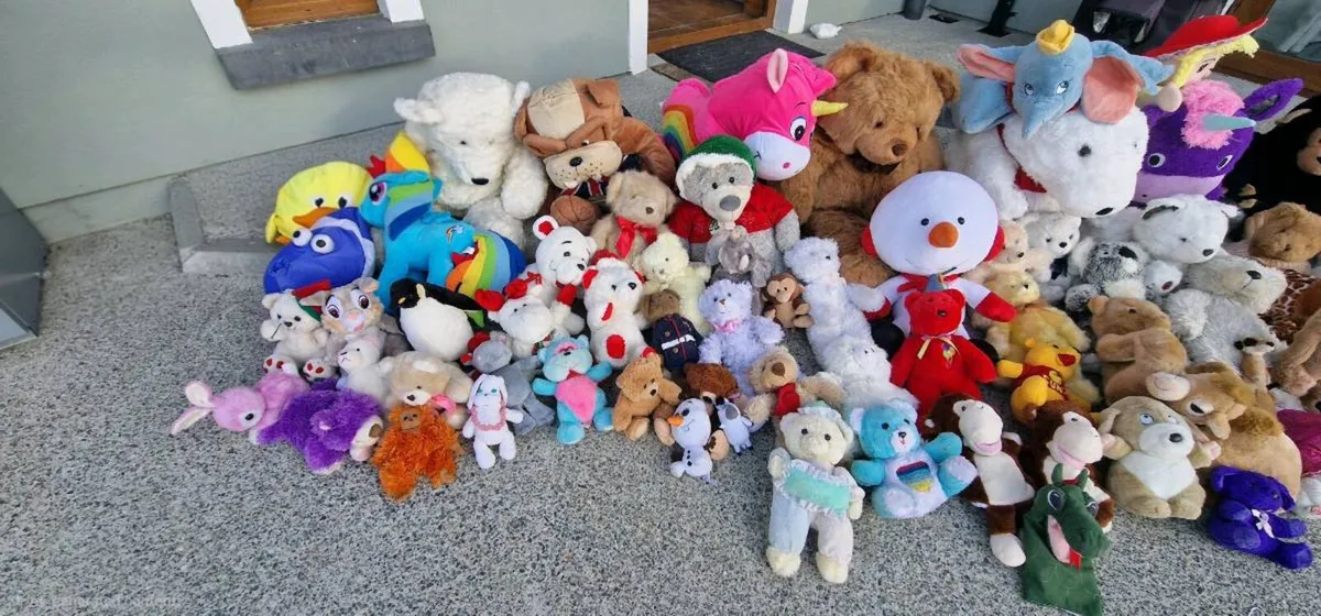 Soft Toys / Teddies - Image 2