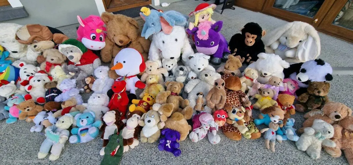 Soft Toys / Teddies - Image 3