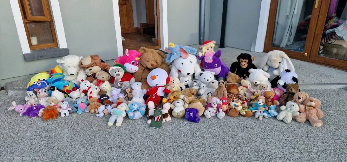 Soft Toys / Teddies - Image 1