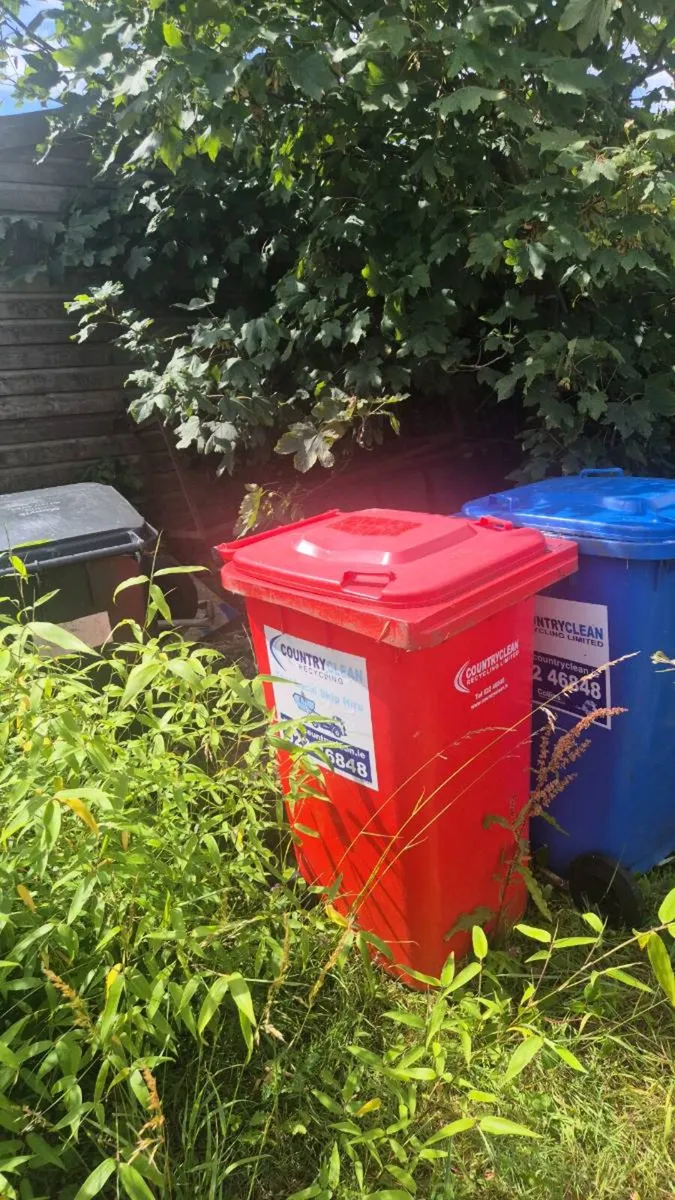 Wheelie Bin