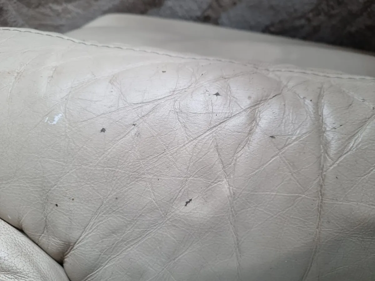 Cream leather couches - Image 3