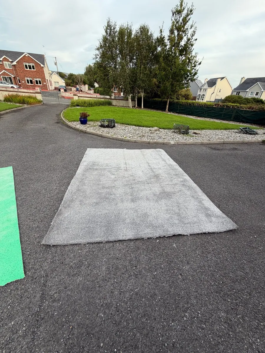 Carpet **Free** - Image 1