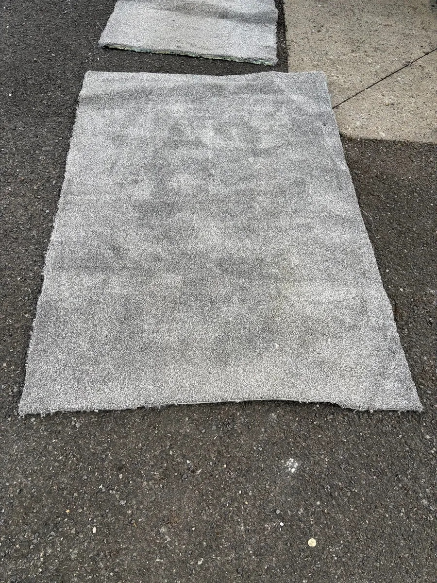 Carpet **Free** - Image 2