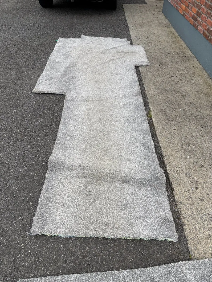 Carpet **Free** - Image 4