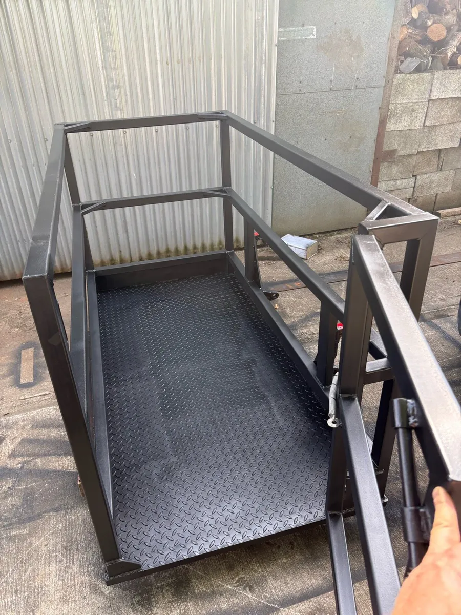 Safety cage , euro brackets - Image 3