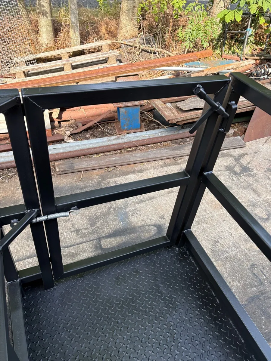 Safety cage , euro brackets - Image 4