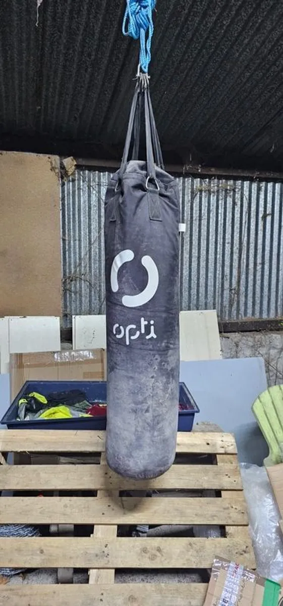 punch bag - Image 2