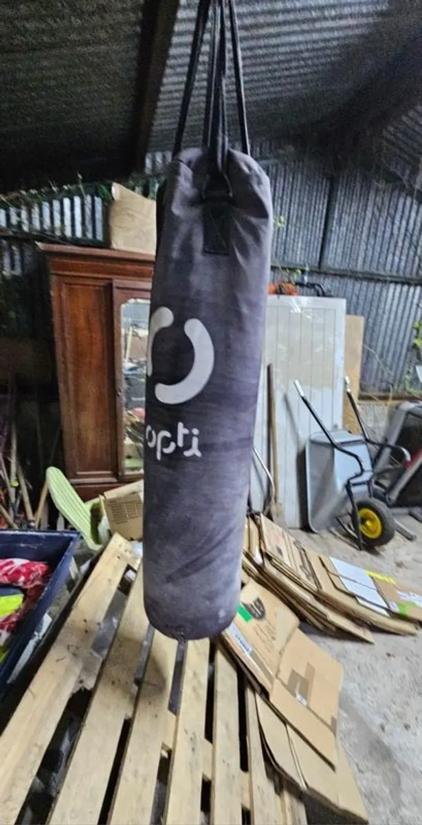 punch bag - Image 1