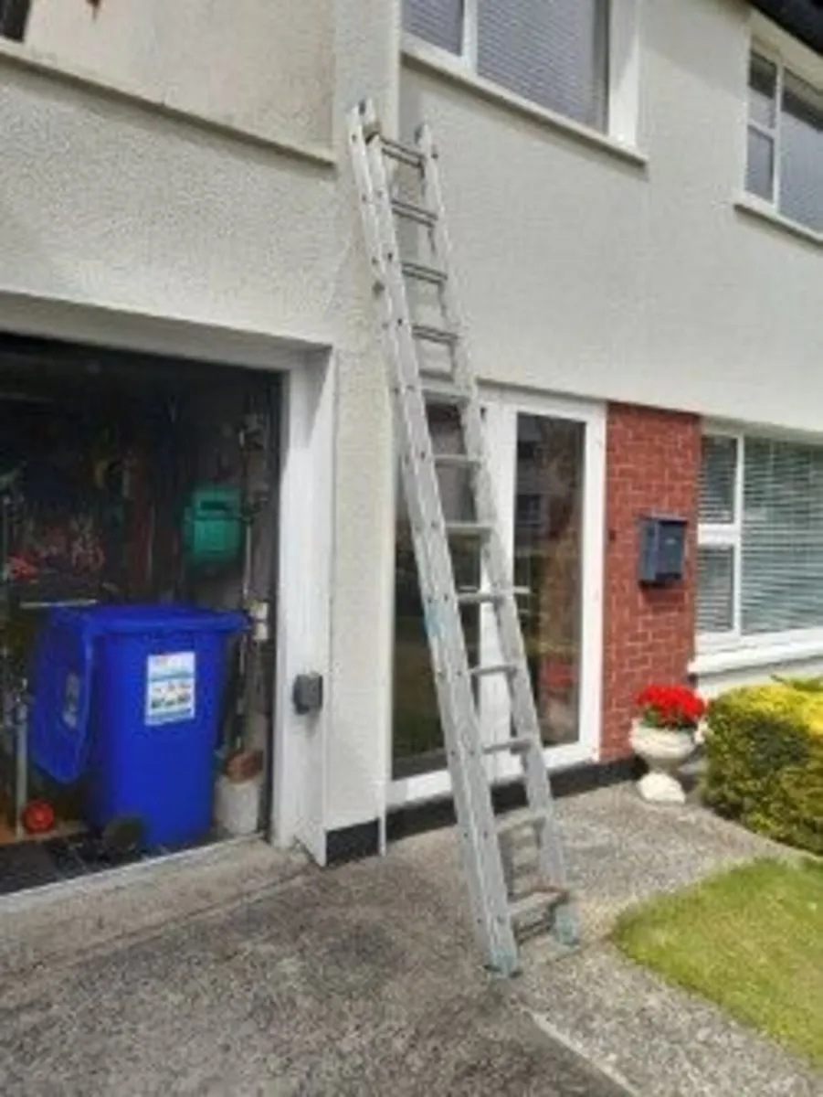 ladder