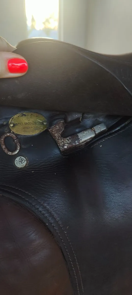 Saddle - Image 4