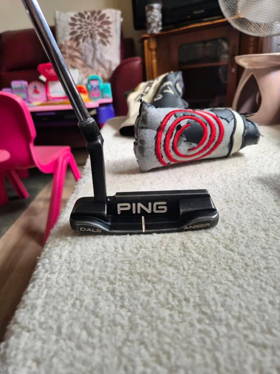 Ping anser vault 2.0 - Image 1