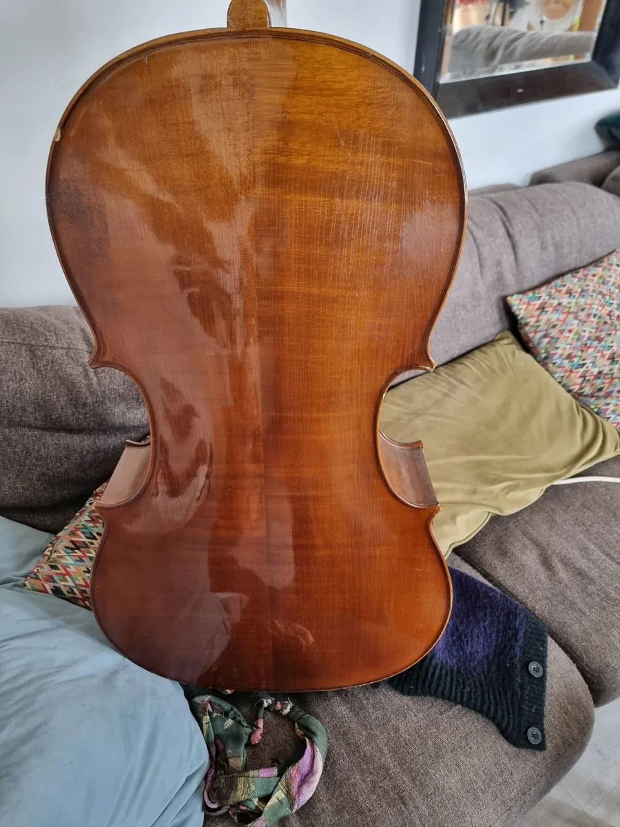 Unlabelled Cello full size - Image 4