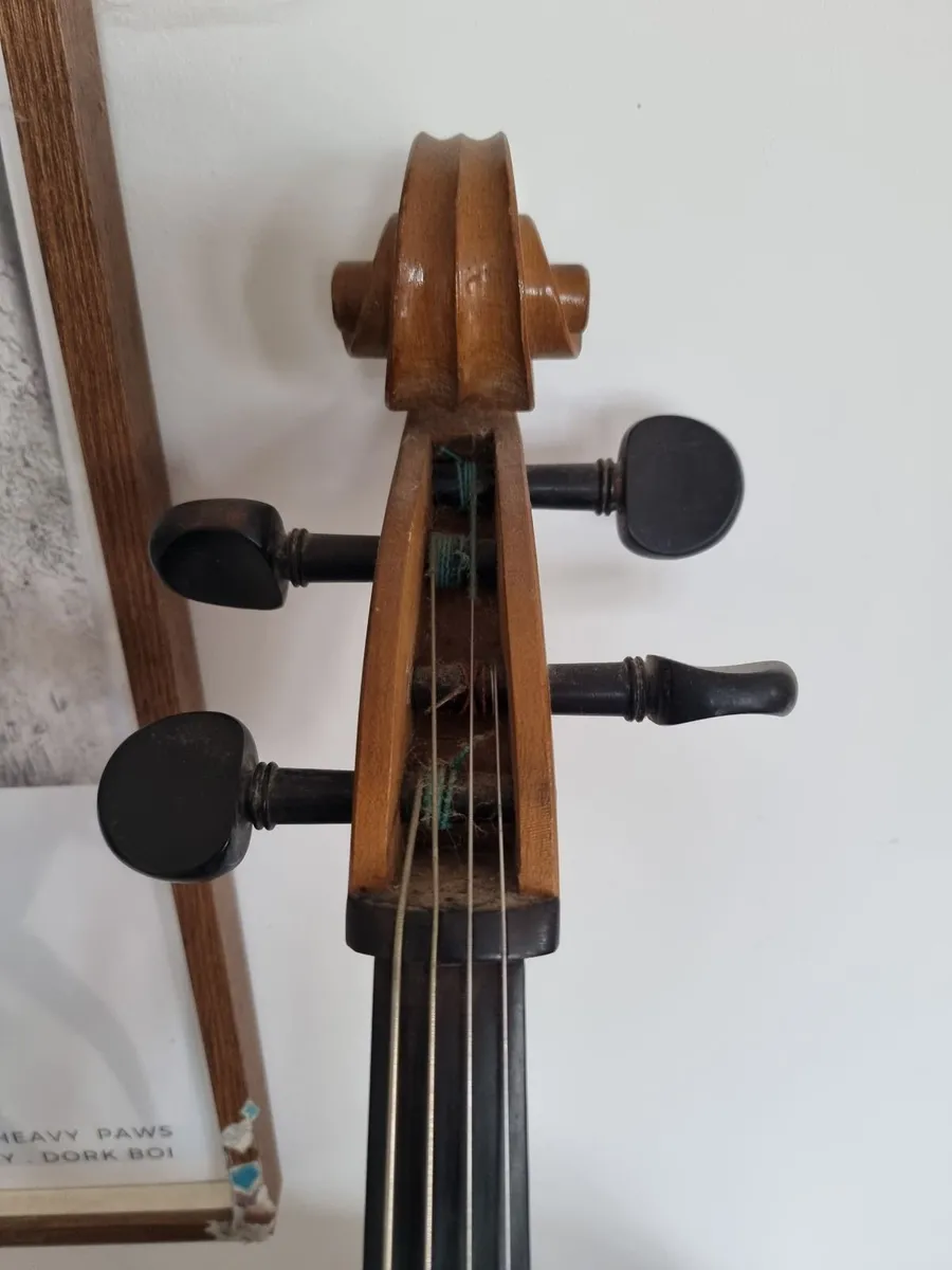 Unlabelled Cello full size - Image 2