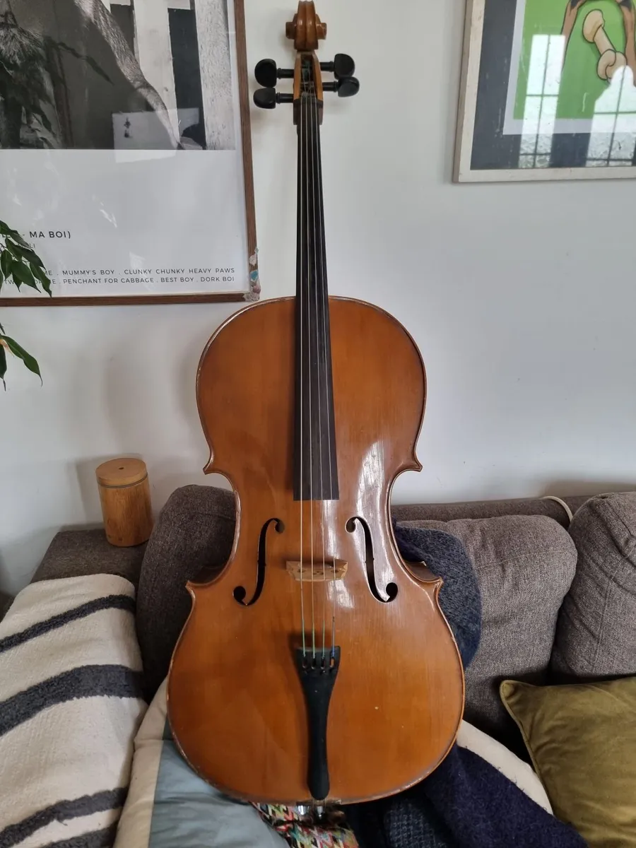 Unlabelled Cello full size - Image 3