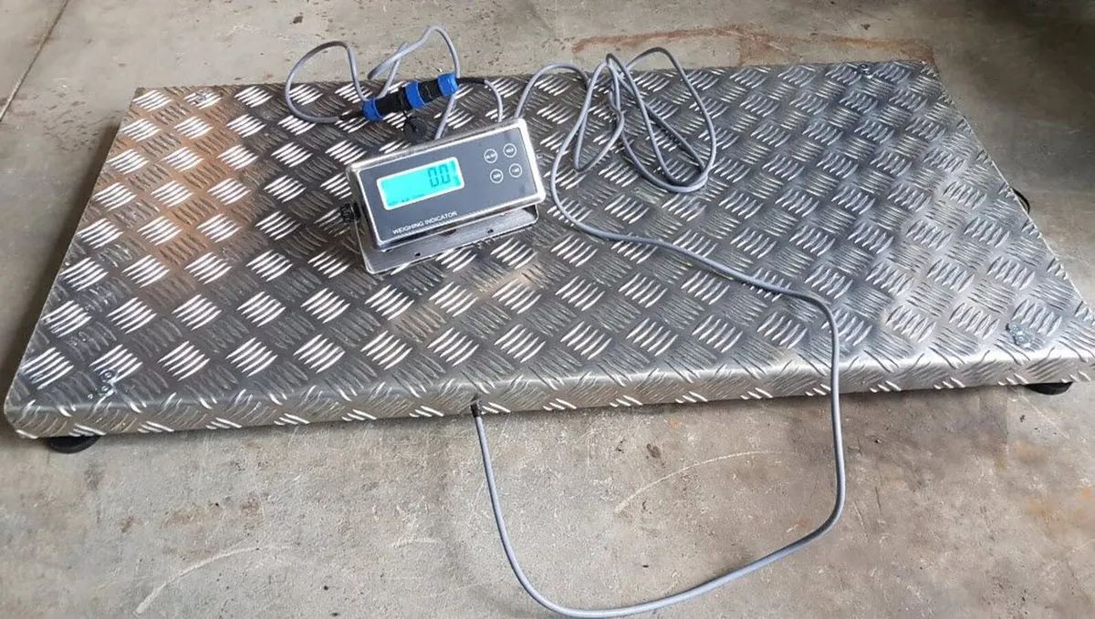 Platform scale up to 300kg