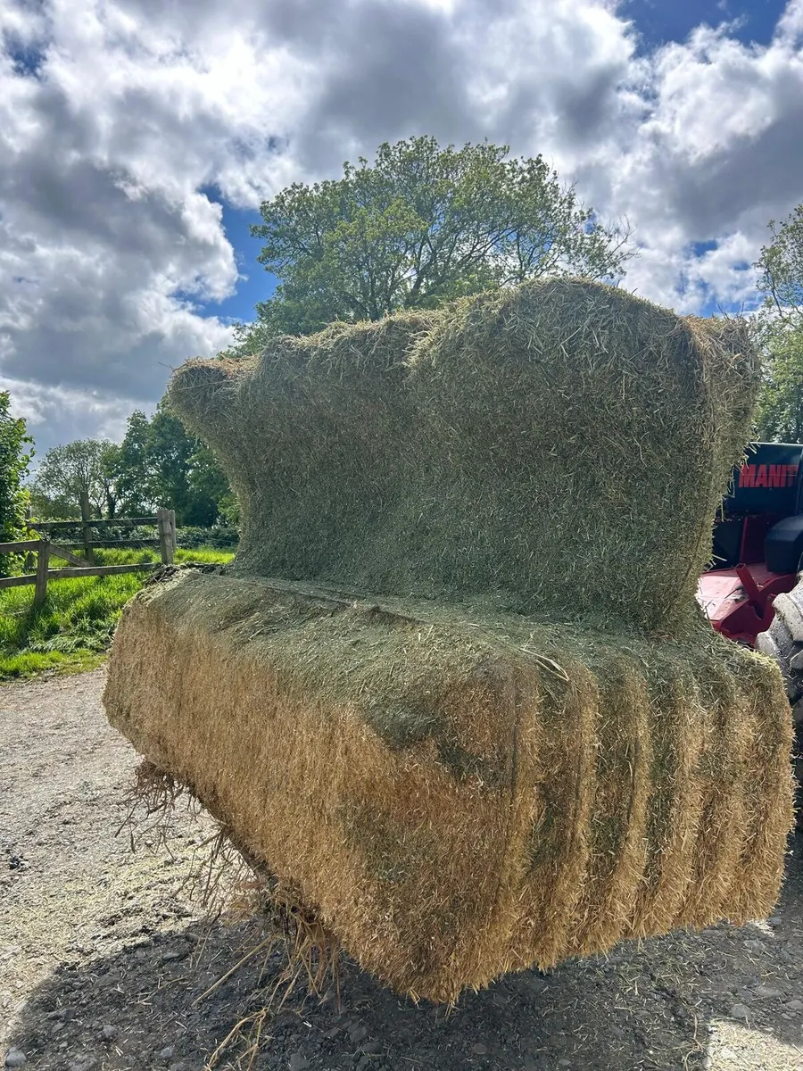 Precision Chopped Straw and Spanish Afalfa - Image 1